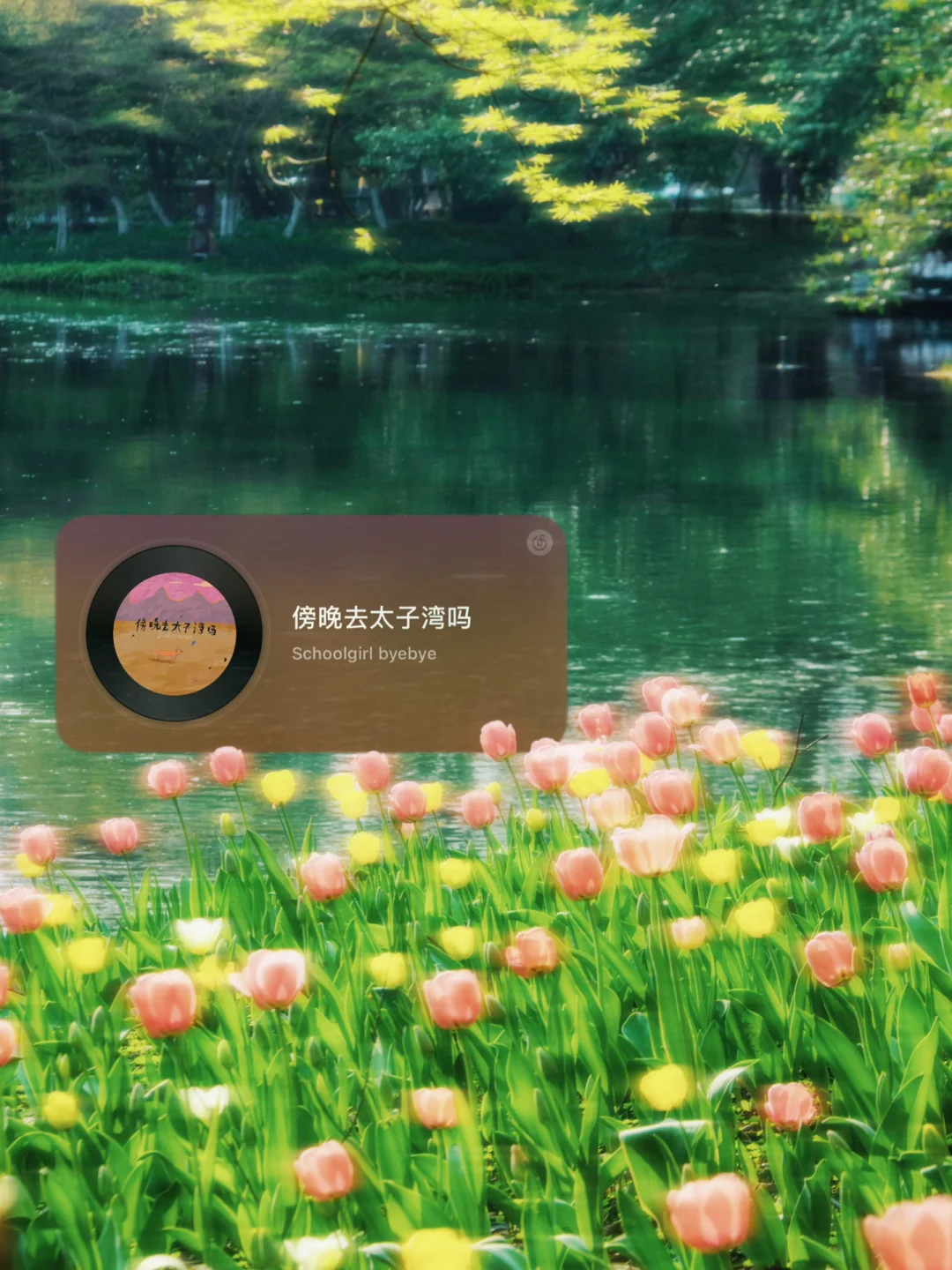 接下来的杭州，是国内旅行的浪漫天花板‼️