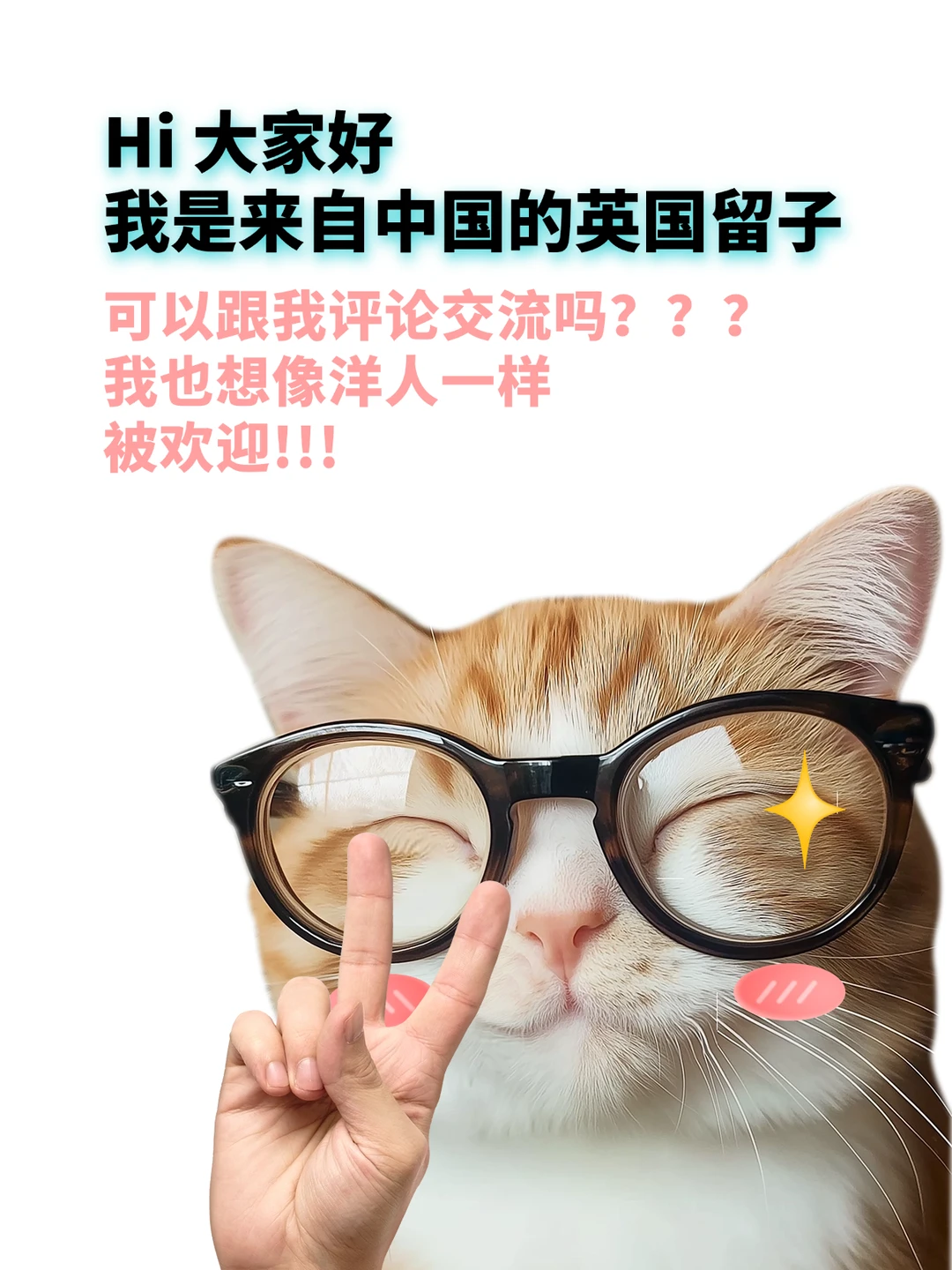 大家好，我是中国人I'm Chinese