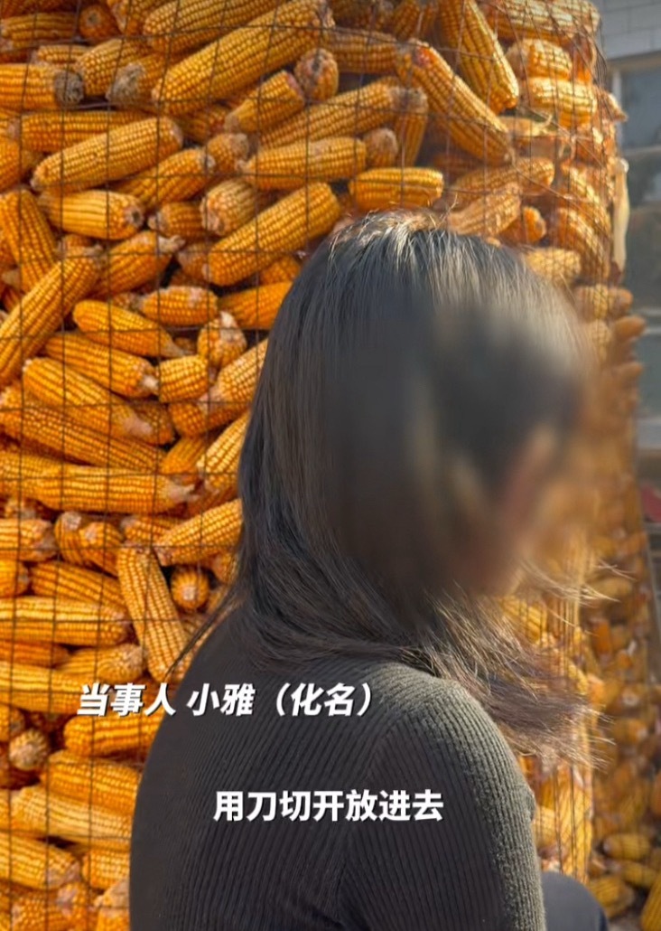 #12岁女孩打黑工致残工厂多名童工# 比女孩致残更让人揪心的真相曝光，这家黑作坊里，不止一个童工！河北邯郸这家藏在民房里的无证橡皮泥作坊，12岁女孩小雅在这里打黑工，上班仅仅13天，胳膊被搅拌机绞伤，落下六级伤残。

深挖之后才发现，作坊里还有多名未成年女工一起干活。孩子每天长时间在没有防 ​