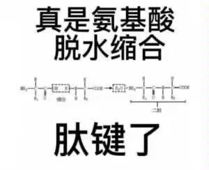 特别实用的表情包！