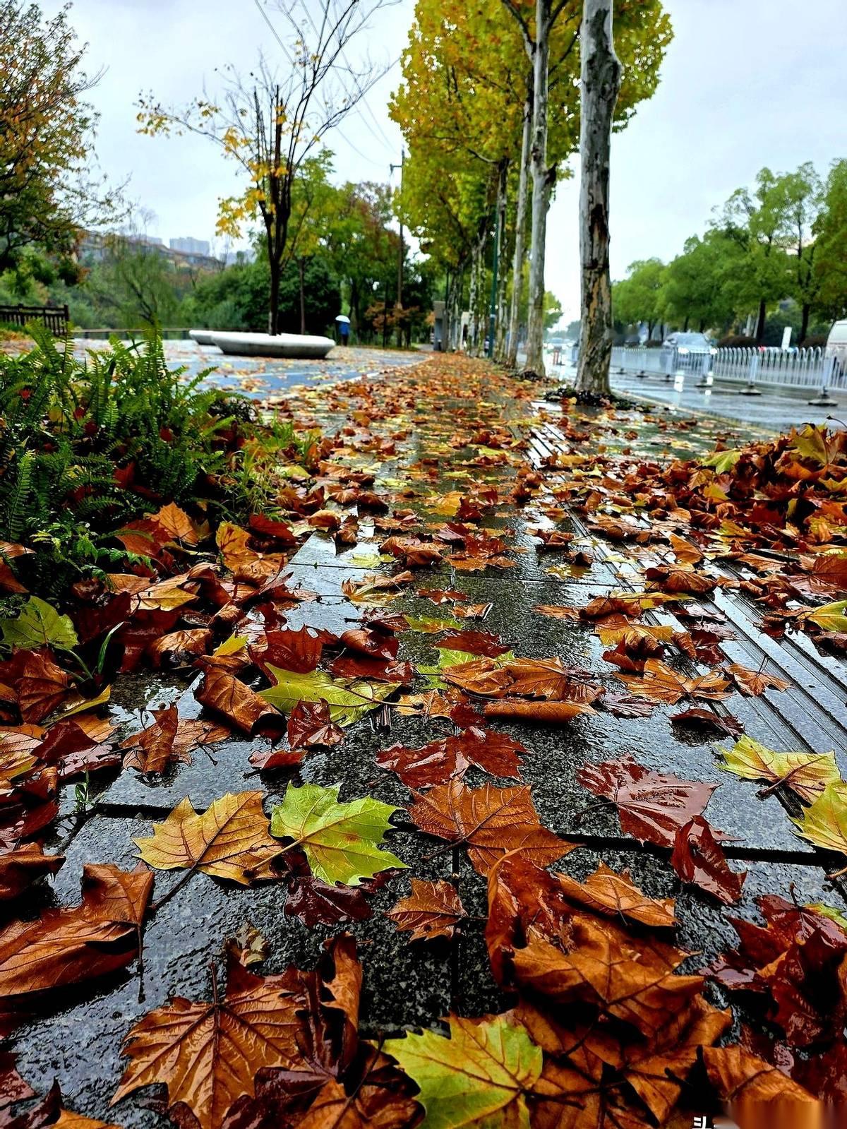 别再傻乎乎地听人说什么“缓和”了。 那不叫缓和，那叫分手前的冷静期。 ...