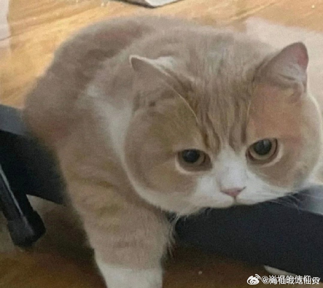 #全新华为MatePadAir即将发布##被新款华为Air平板硬控三秒# 高颜值轻薄平板即将登场，屏幕素质亮眼，依托鸿蒙系统，多场景使用体验值得期待。 ​