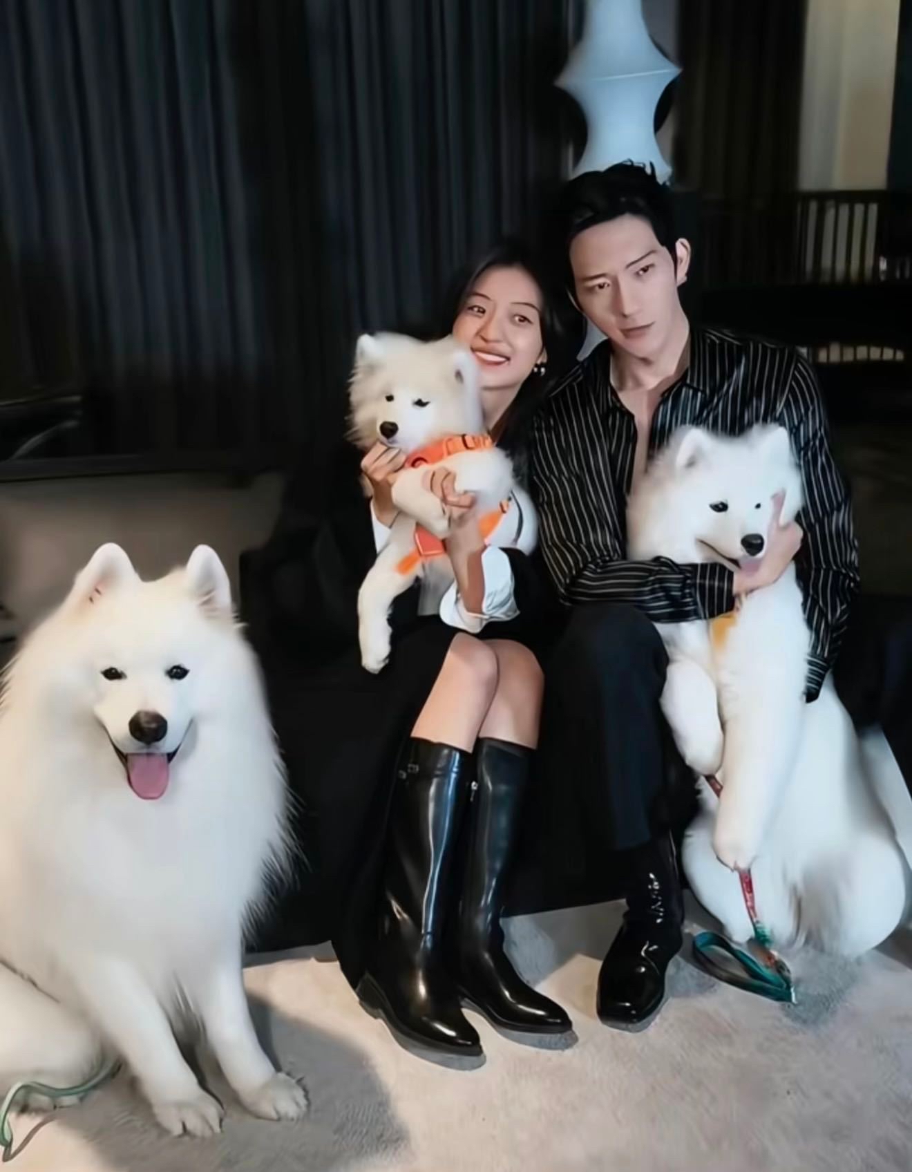 在最新的第16集中，萨摩耶卢克贡献了教科书式的演技。拆家被栾念打，小狗耳朵塌了下去，表情立马严肃。一边哼唧一边斜眼看栾念的样子，真的太可爱了！尚之桃给栾念视频电话，刚说要看看卢克，小狗手手就搭了上来。弹幕上，观众们也纷纷对卢克的演技表示了认可。在栾念尚之桃闹矛盾的时候，卢克就像二人的粘合剂。要不说孩