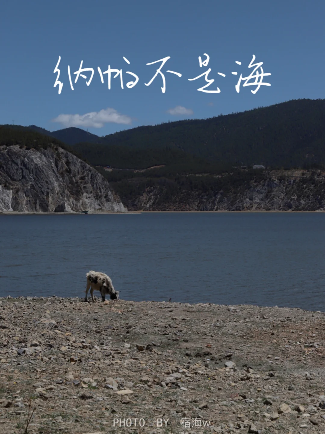 纳帕海|50元自在环湖，随手一拍都是壁纸