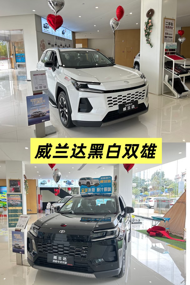 威兰达黑白双雄，谁才是你的菜？