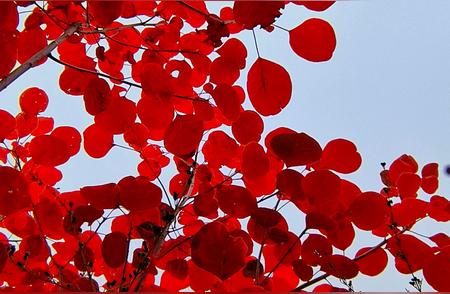 这才是正确的婚恋观，有理有据值得赞扬！