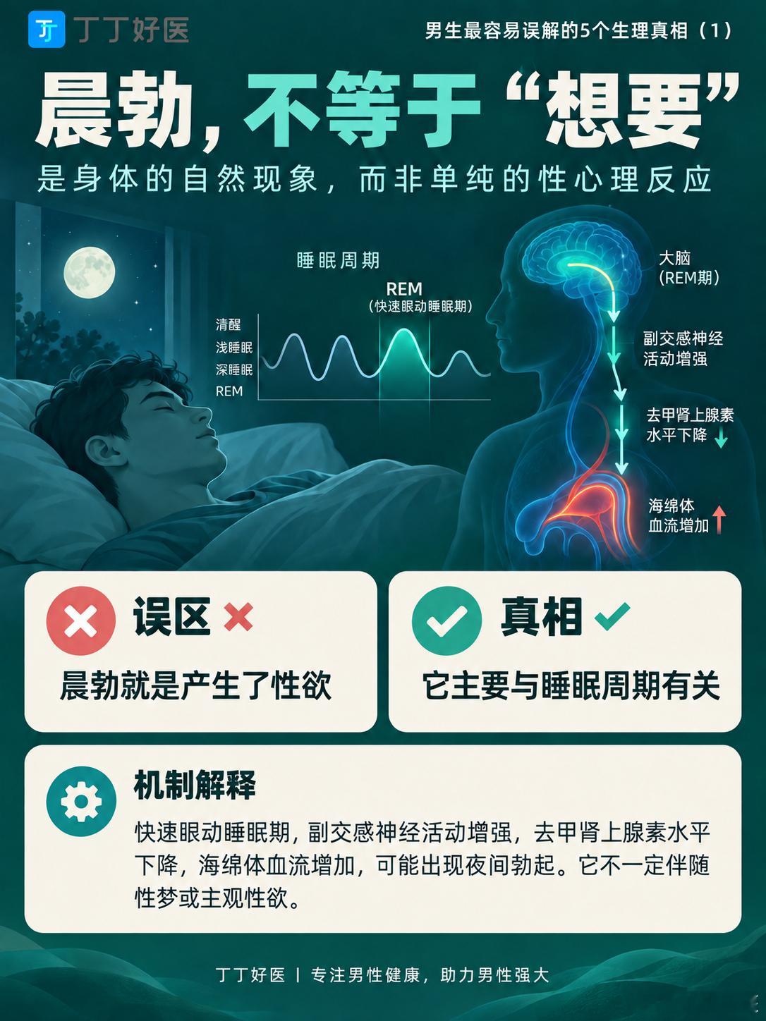 男生最容易误解的5个生理真相！🍆 勃起≠想要❤️‍🔥 有性欲≠能勃起🧪 硬度不只看睾酮💦 射精不完全等于糕朝🔬 精液多≠精子多丁丁好医[超话] ​​​