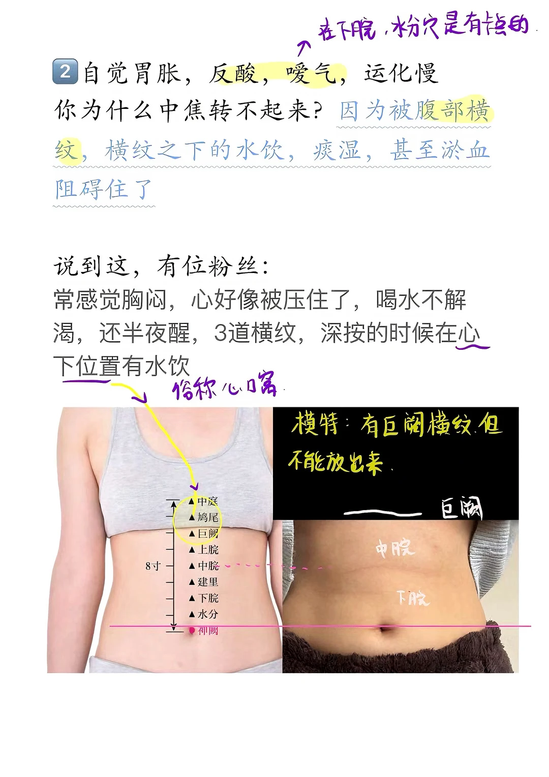 成功率很高+成本低：养脾胃方法(偶给到夯）