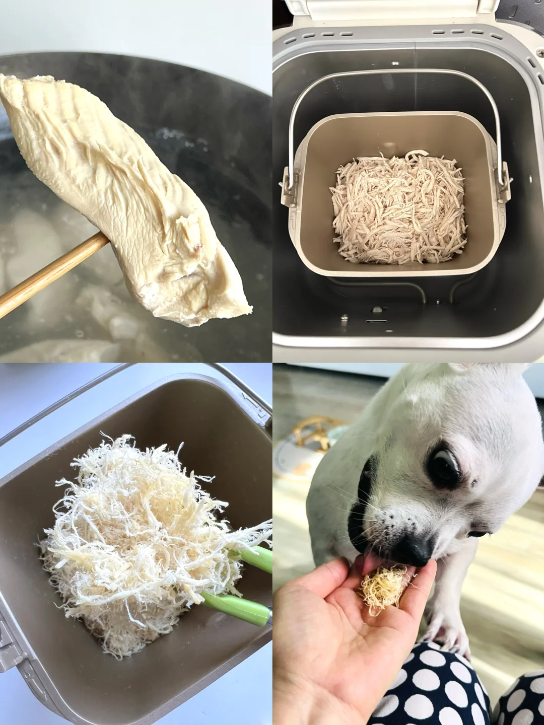 我家🐶子要对面包机疯狂了！😆