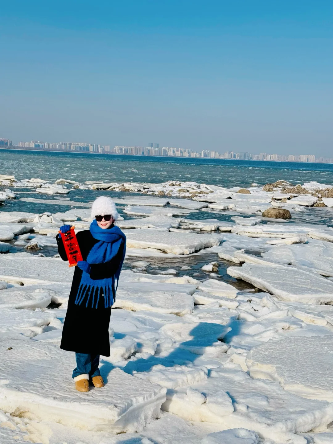 刚从北戴河回来，不踩雷1日游，海鸥巨多