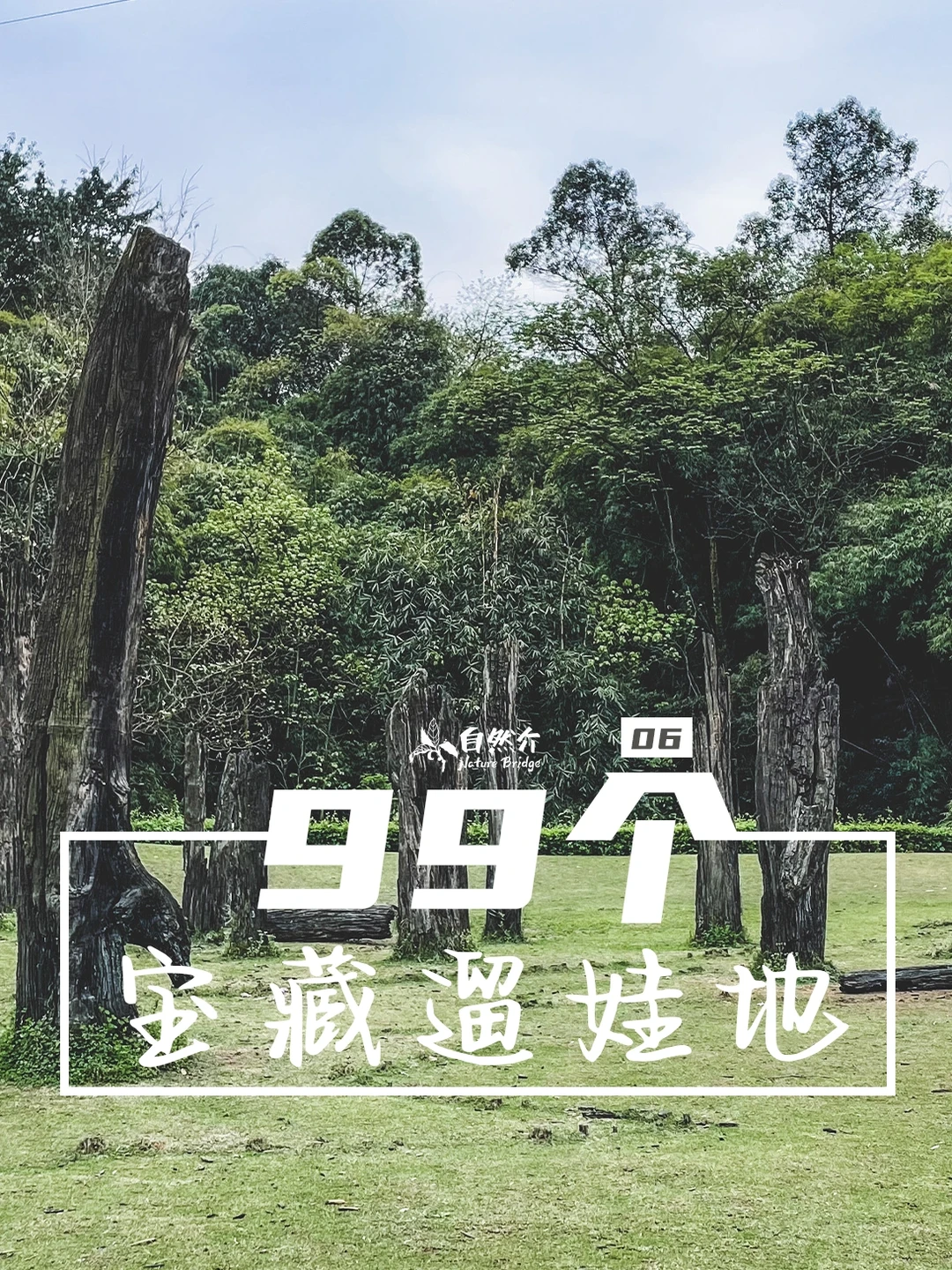 打卡99个宝藏遛娃地-照母山森林公园