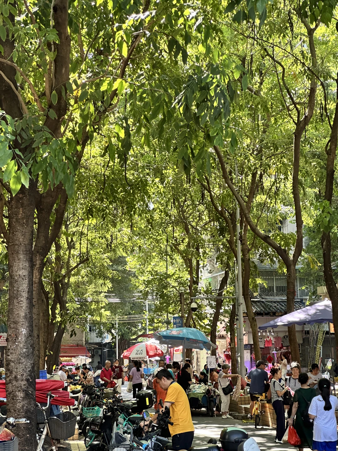 广州荔湾｜西华肉菜市场