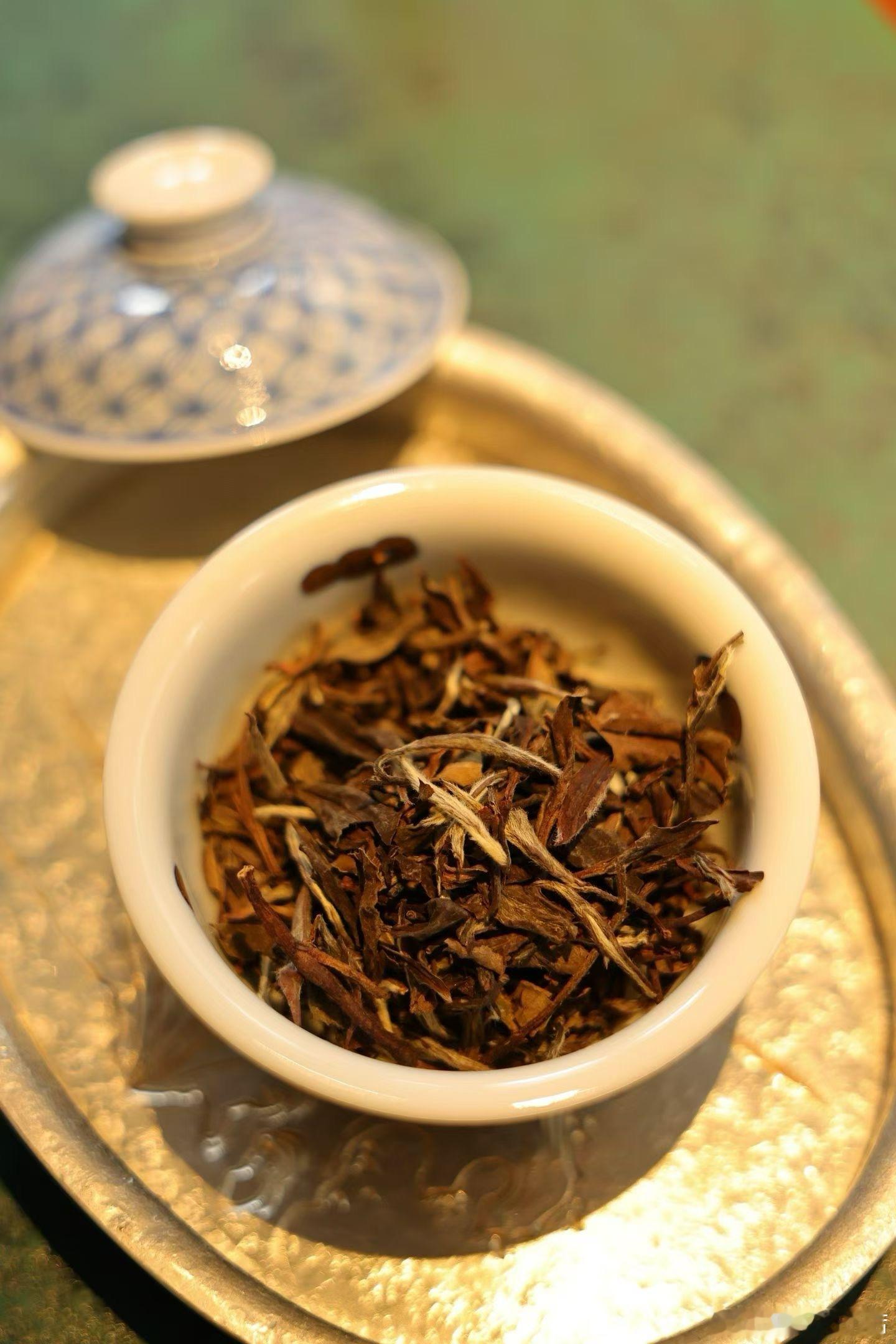 90年代荒野小菜茶🍵下次回来就是2027年了茶生活茶礼 ​​​