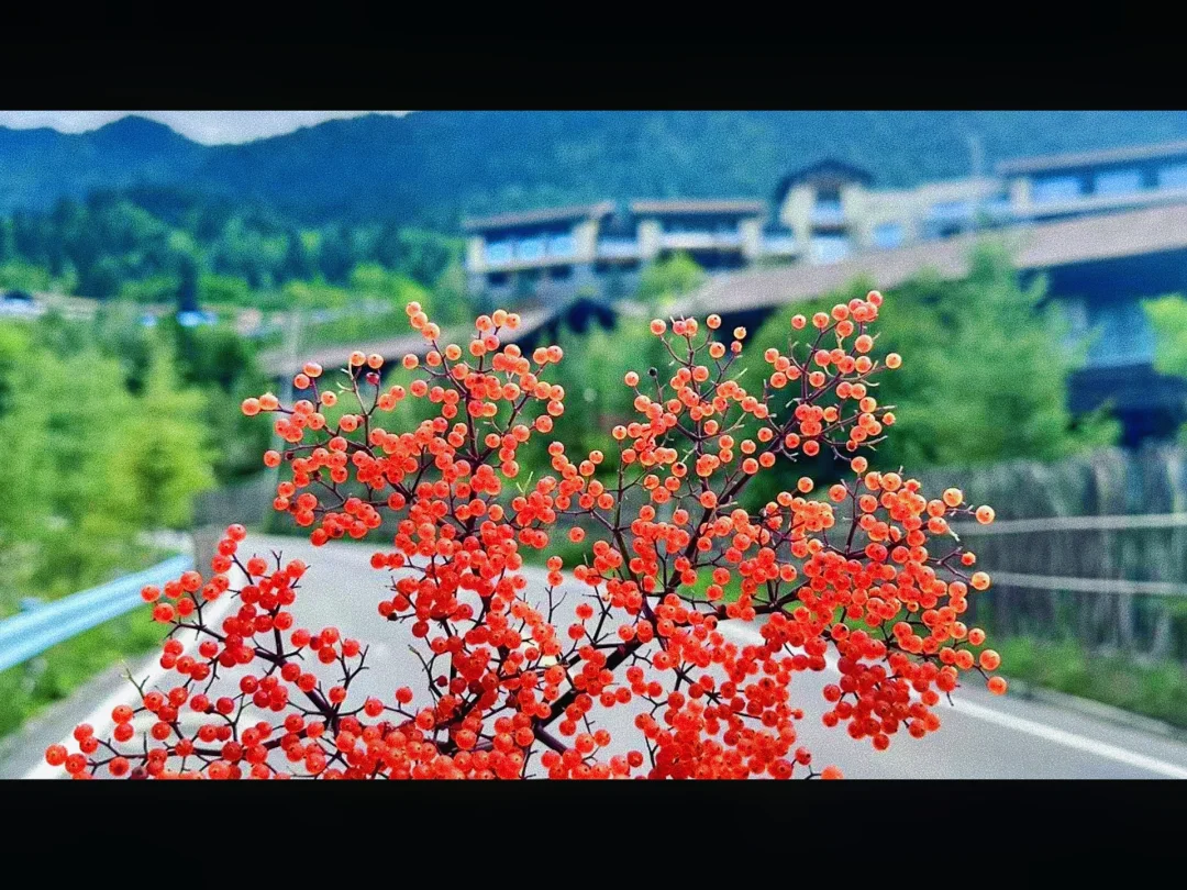 体制内：巡视巡察表态发言