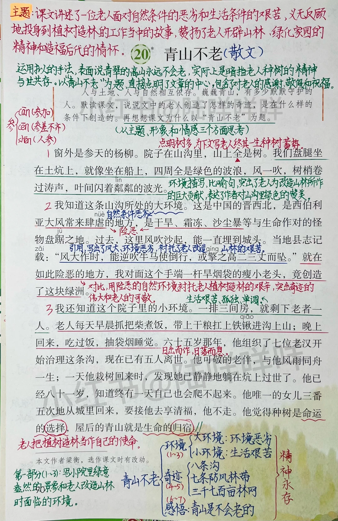 六上语文第20课《青山不老》课堂笔记及习题