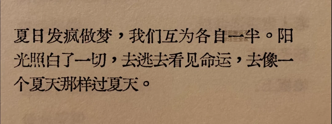 天呐！太喜欢这句了