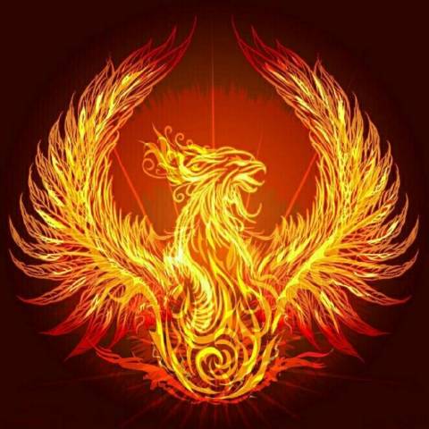 董府大少爷嘚历史