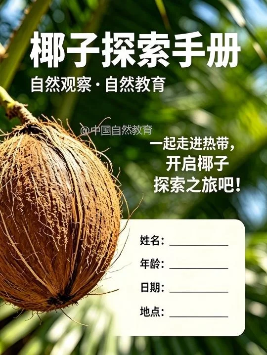 自然教育手册｜原来一颗椰子藏着这么多自然奥秘！ 带娃认识自然，从一颗随...