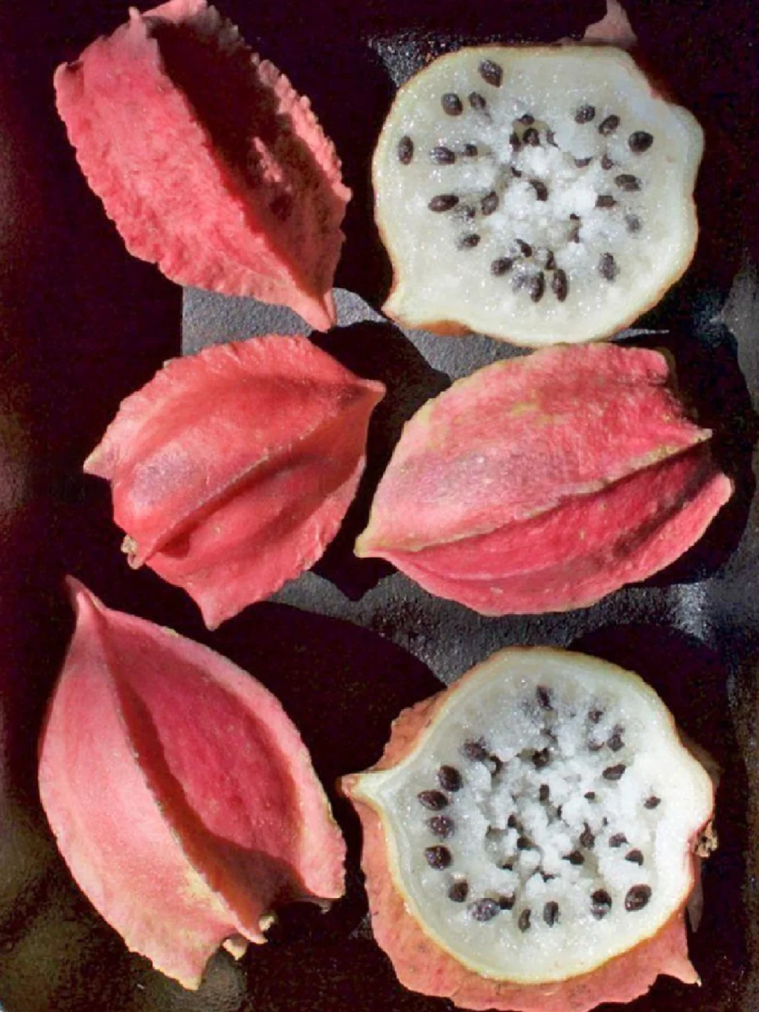 巧克力野木瓜Jarilla chocola