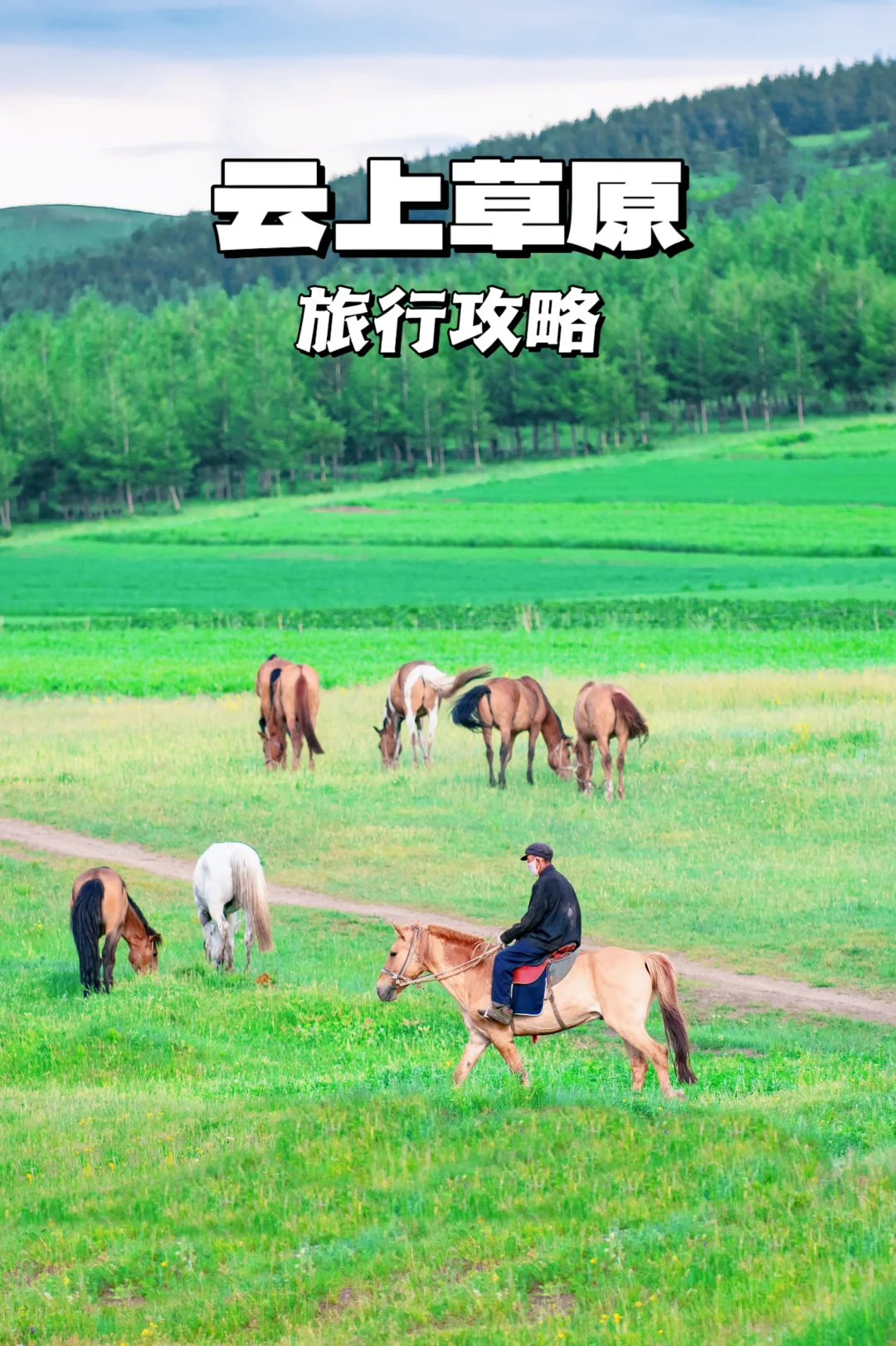 端午北京避世之旅｜3h车程直达草原牧场