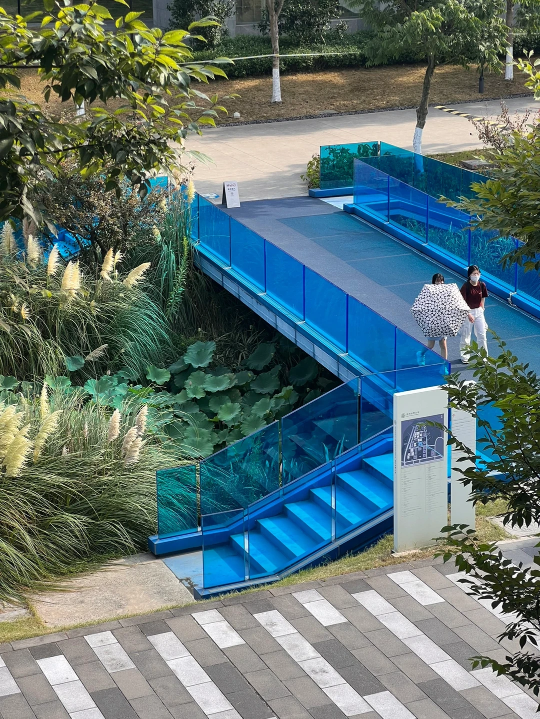 温州｜这是一所可以让人变得自信满满的大学