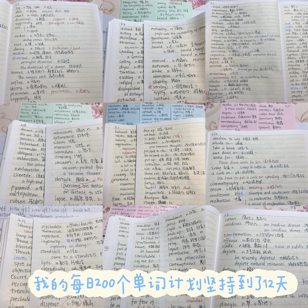 天天背单词才是长久之计❣️