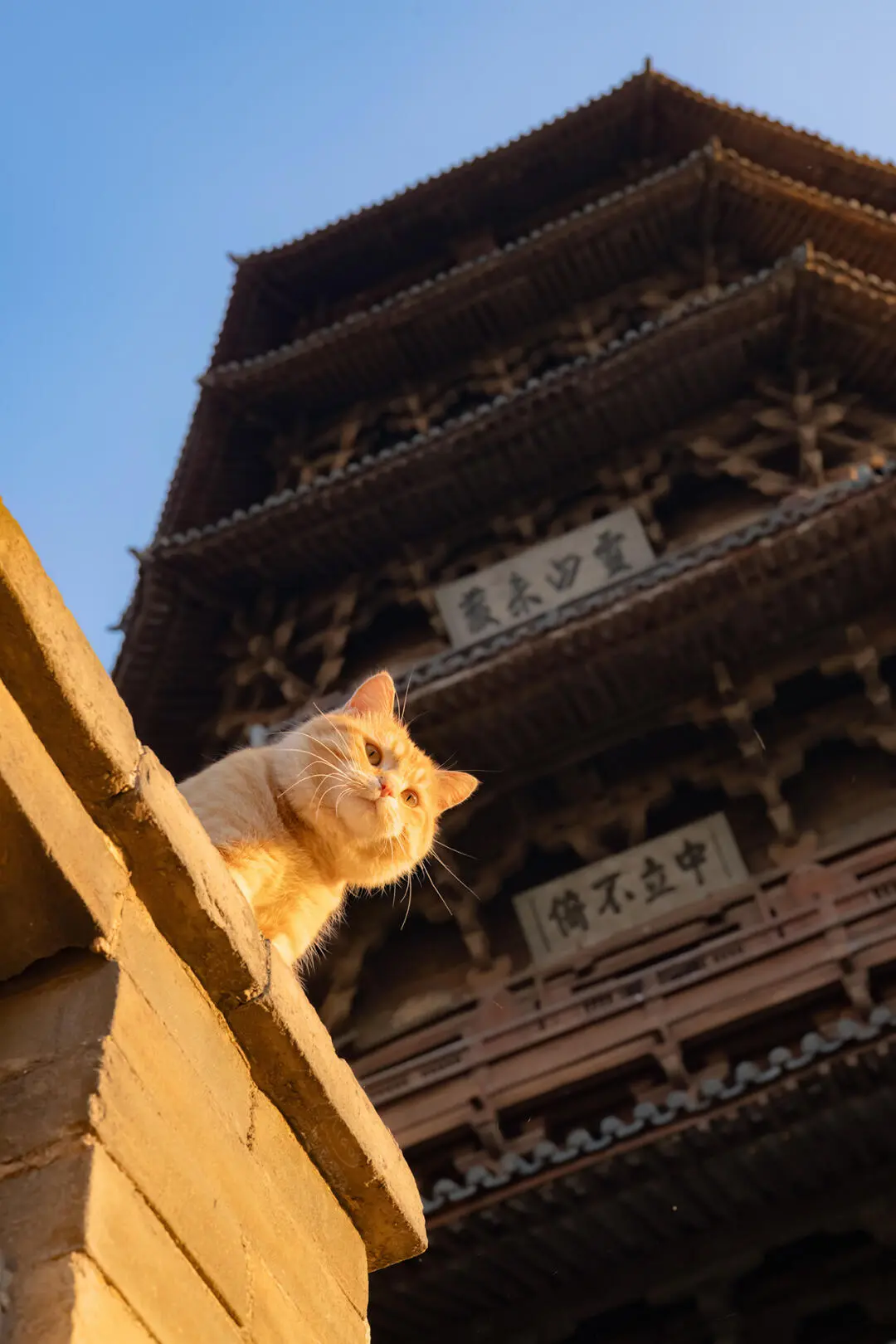 博论暂停，在大同遇见一位特别的旅行搭子