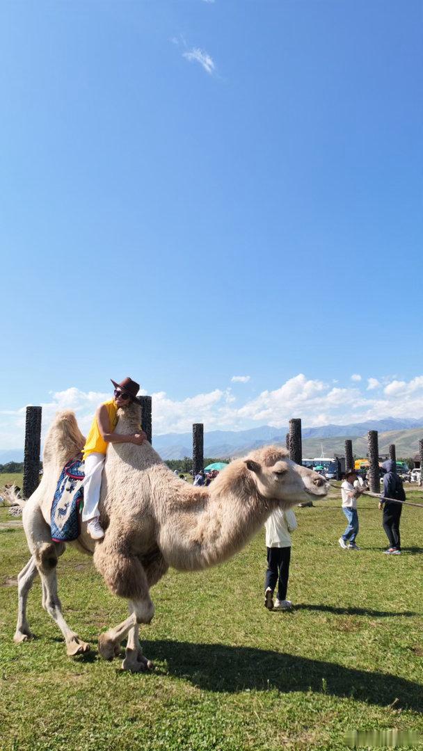 有翅膀的马🐴🪽

设备：大疆pocket 4
 
未编辑，原图直出
 
#生活碎片##原图直出##大疆pocket4##新疆##那拉提# ​