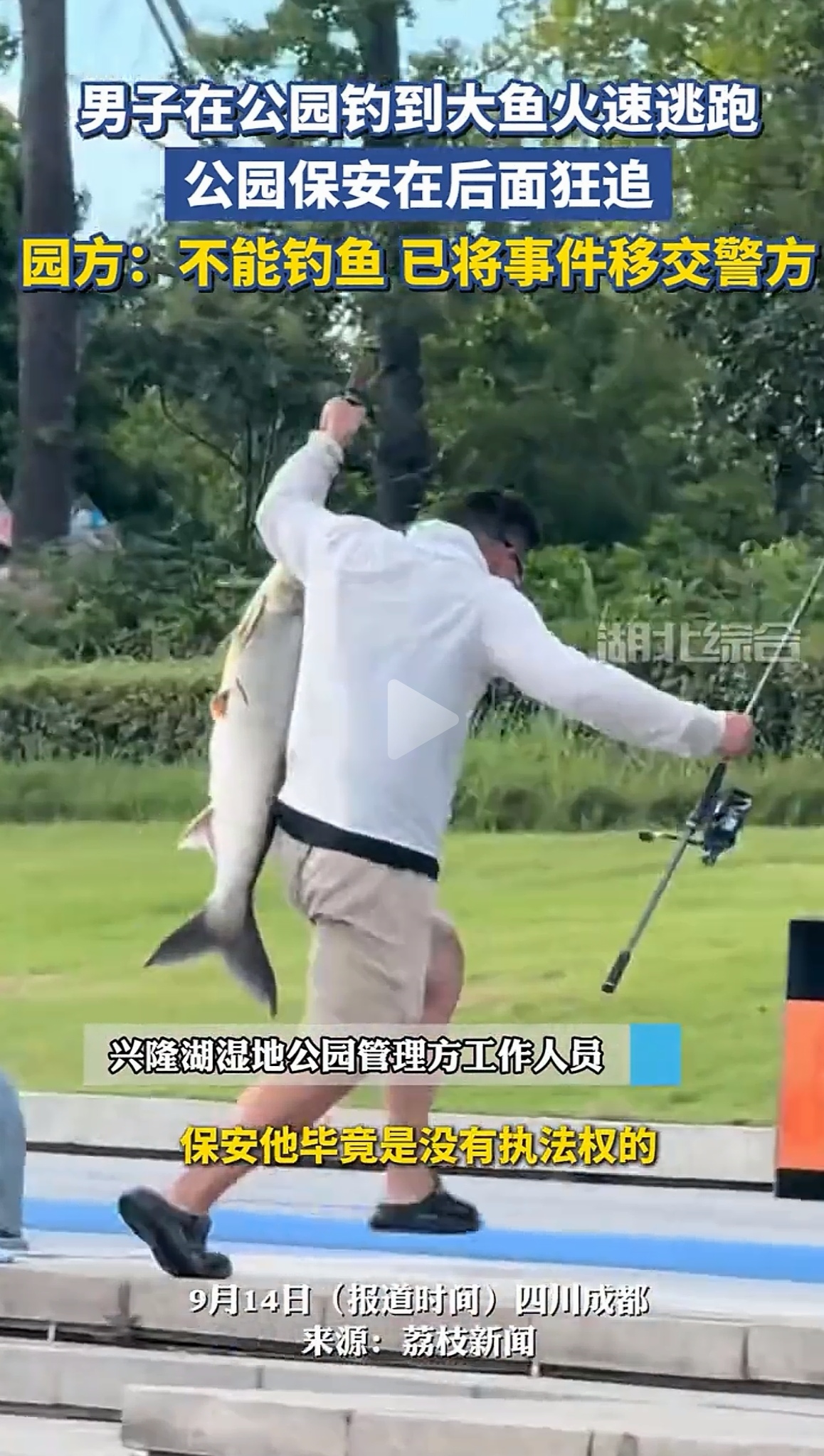 成都兴隆湖这幕太戏剧性了！男子禁钓区钓上大鱼，不欣喜反而拎鱼狂奔，保安在后面追，场面让人哭笑不得。
事件引发热议，有网友调侃：&34;鱼万万没想到，上钩后还要亡命奔逃&34;，把这当成年度搞笑偷钓现场。
但更多人严肃指出，公园鱼是净化水质的公共资源，禁钓区规则必须遵守。明知故犯还逃跑，真是咎由自取。
园方已把监