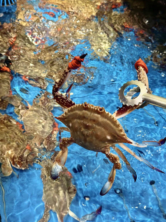 西安海鲜自由🦞这家海鲜自助真的吃到爽！