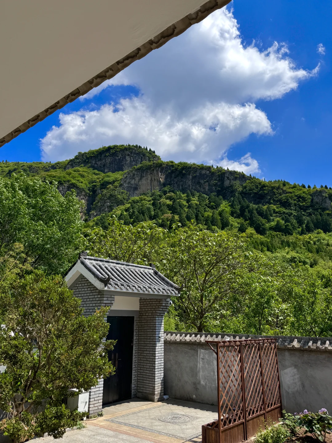 黄帝内经：女子在家静养是大补（立夏篇🍃）