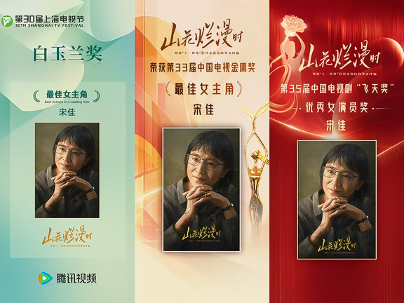 宋佳成功靠一部剧集齐三大奖