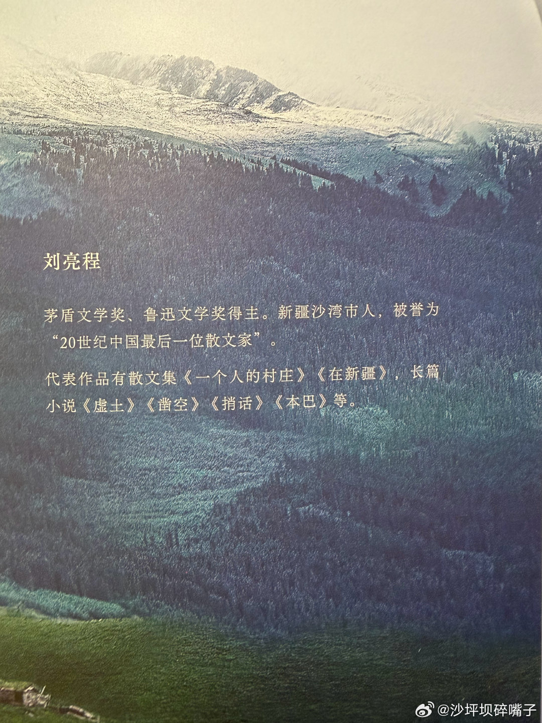 我才知道刘亮程是大盘鸡人士…在乌鲁木齐，请我们吃馕坑烤肉的阿姨，祖籍山...