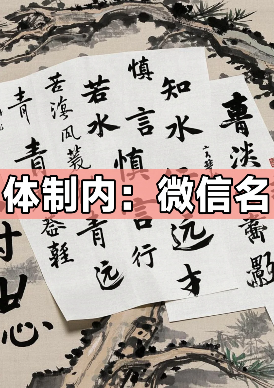 体制内：微信名