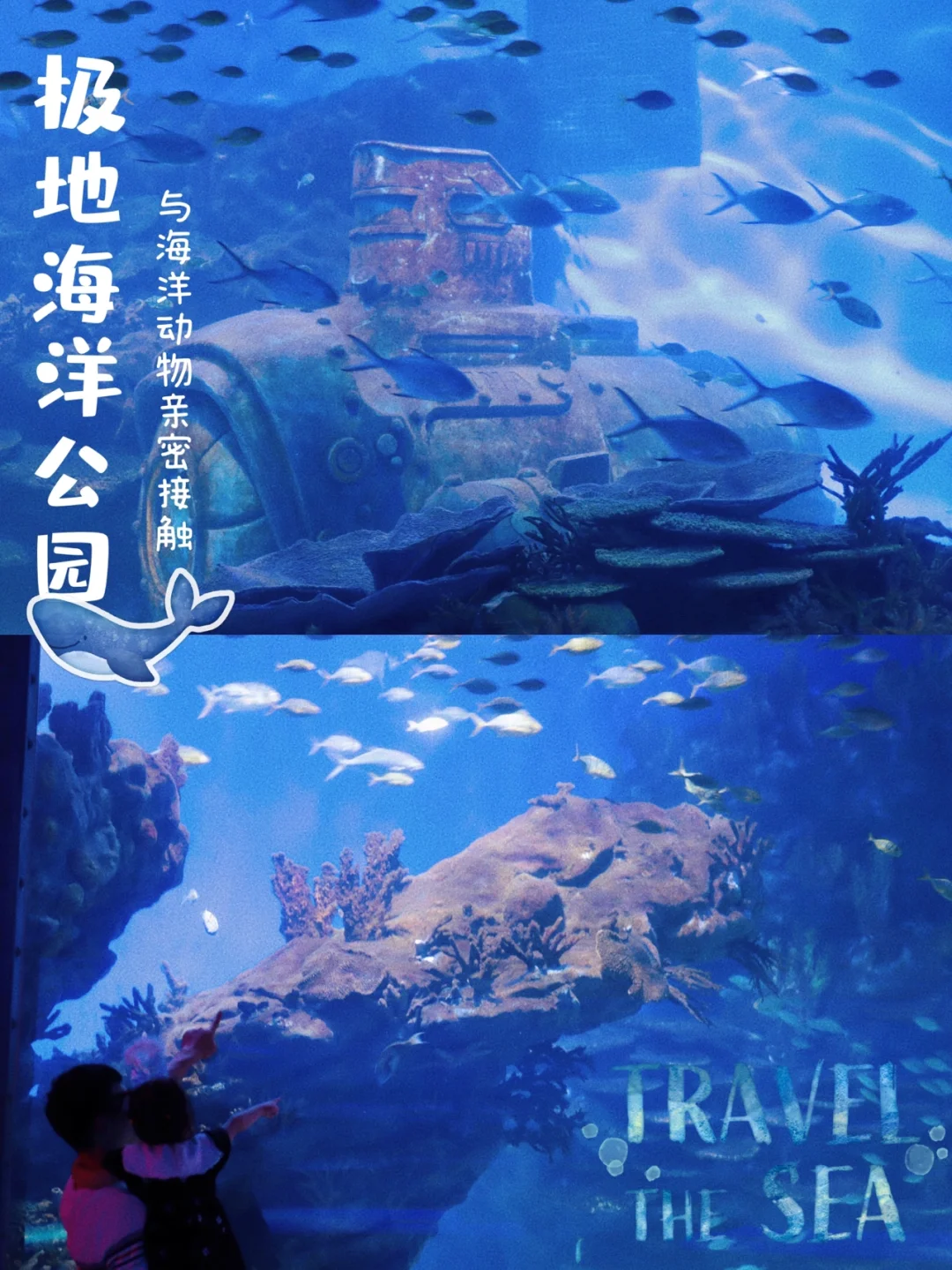 十一武汉遛娃好去处｜武汉海昌极地海洋公园