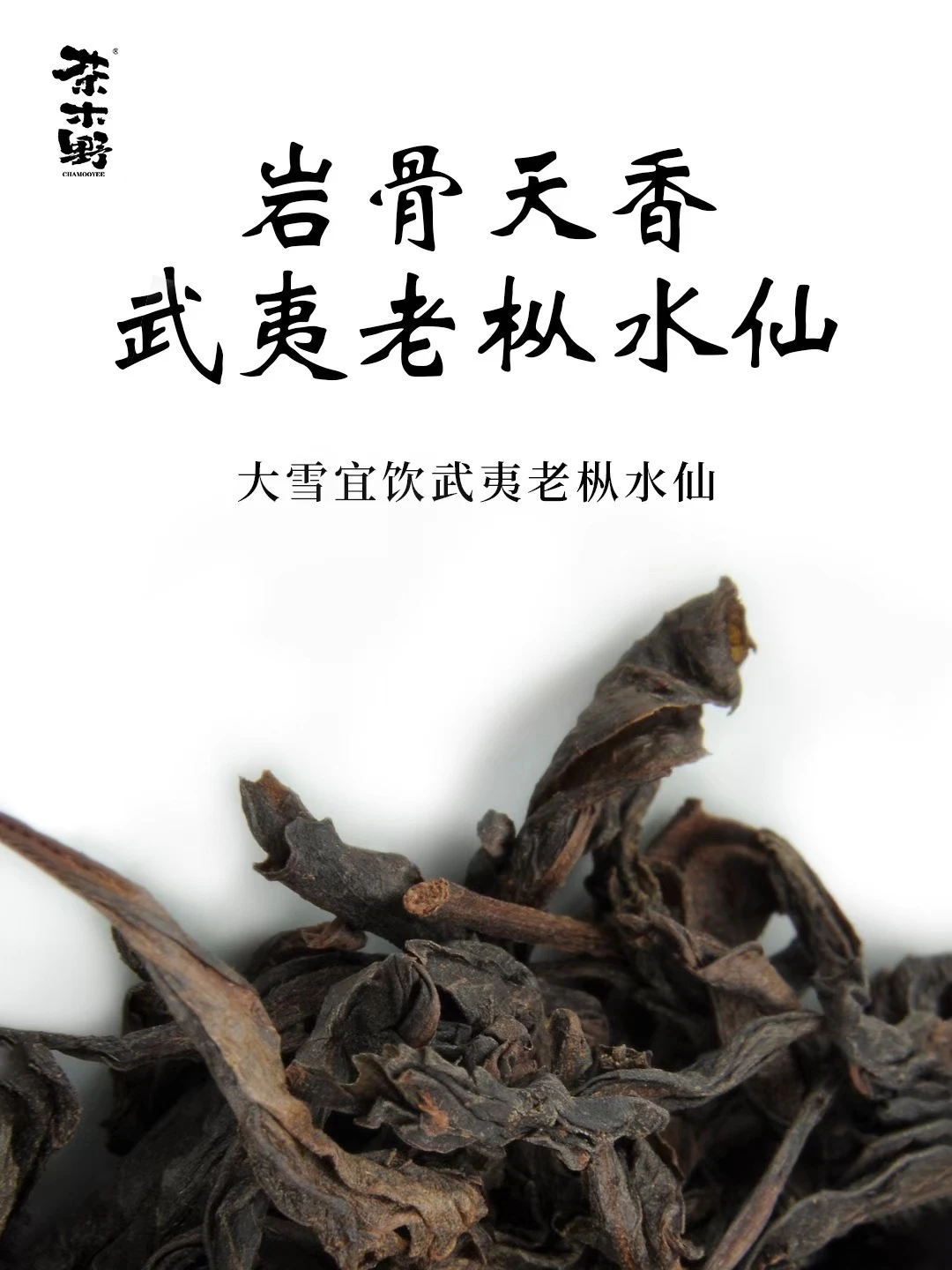 大雪节气喝茶指南丨老枞水仙