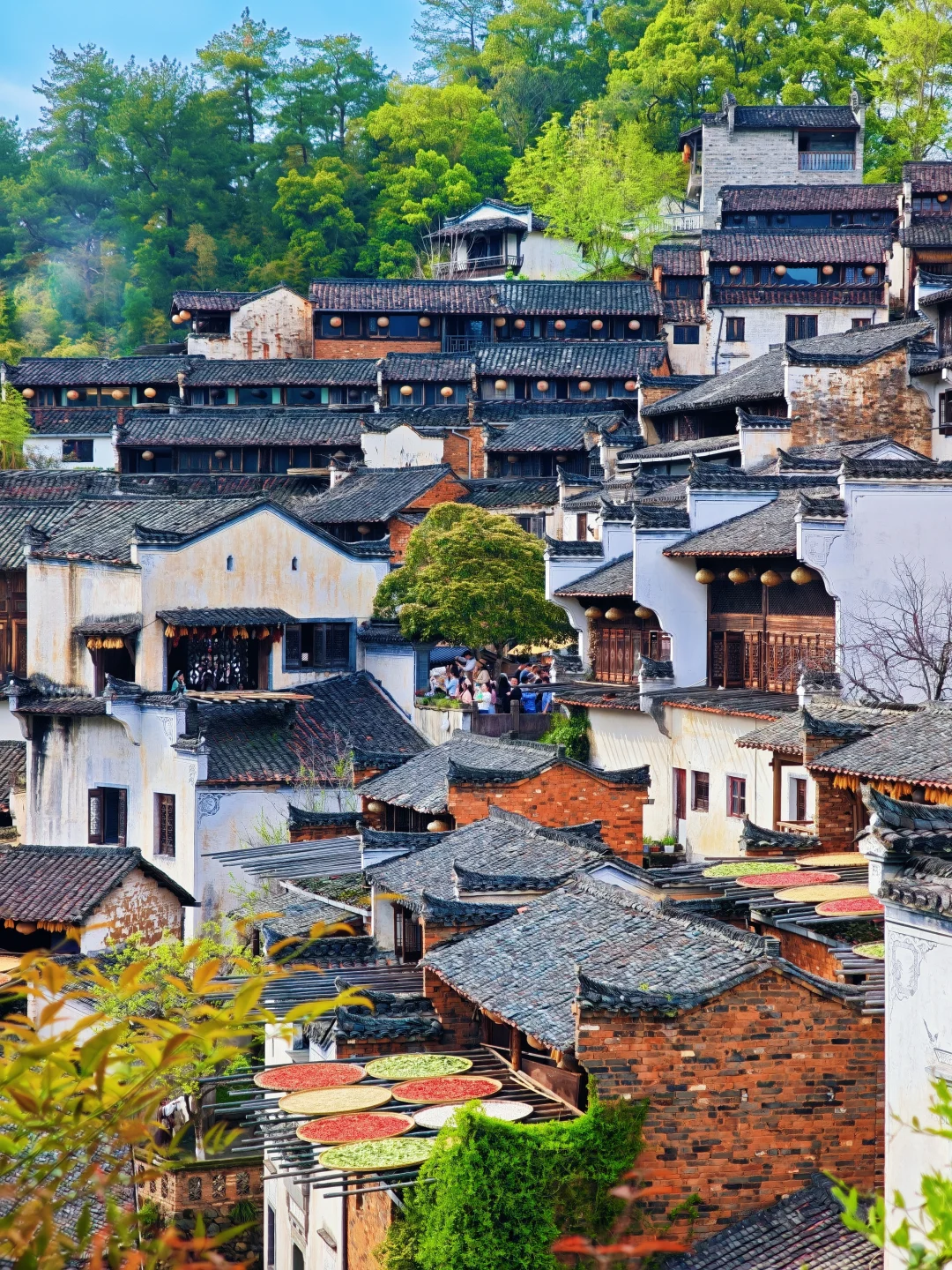 不止油菜花｜暮春篁岭，赴一场徽州旧梦