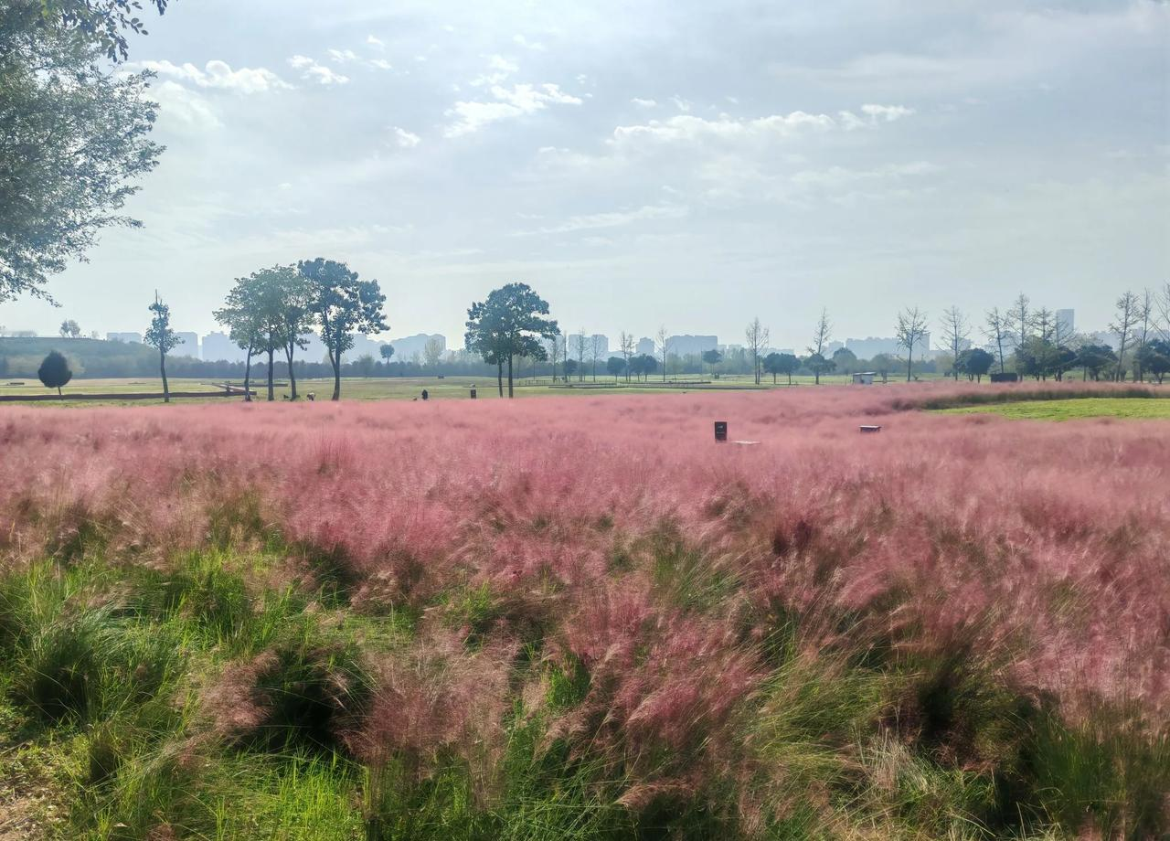 分手后反复找对方，不是因为还爱得深，是因为放不下自己。
 哈佛研究说...