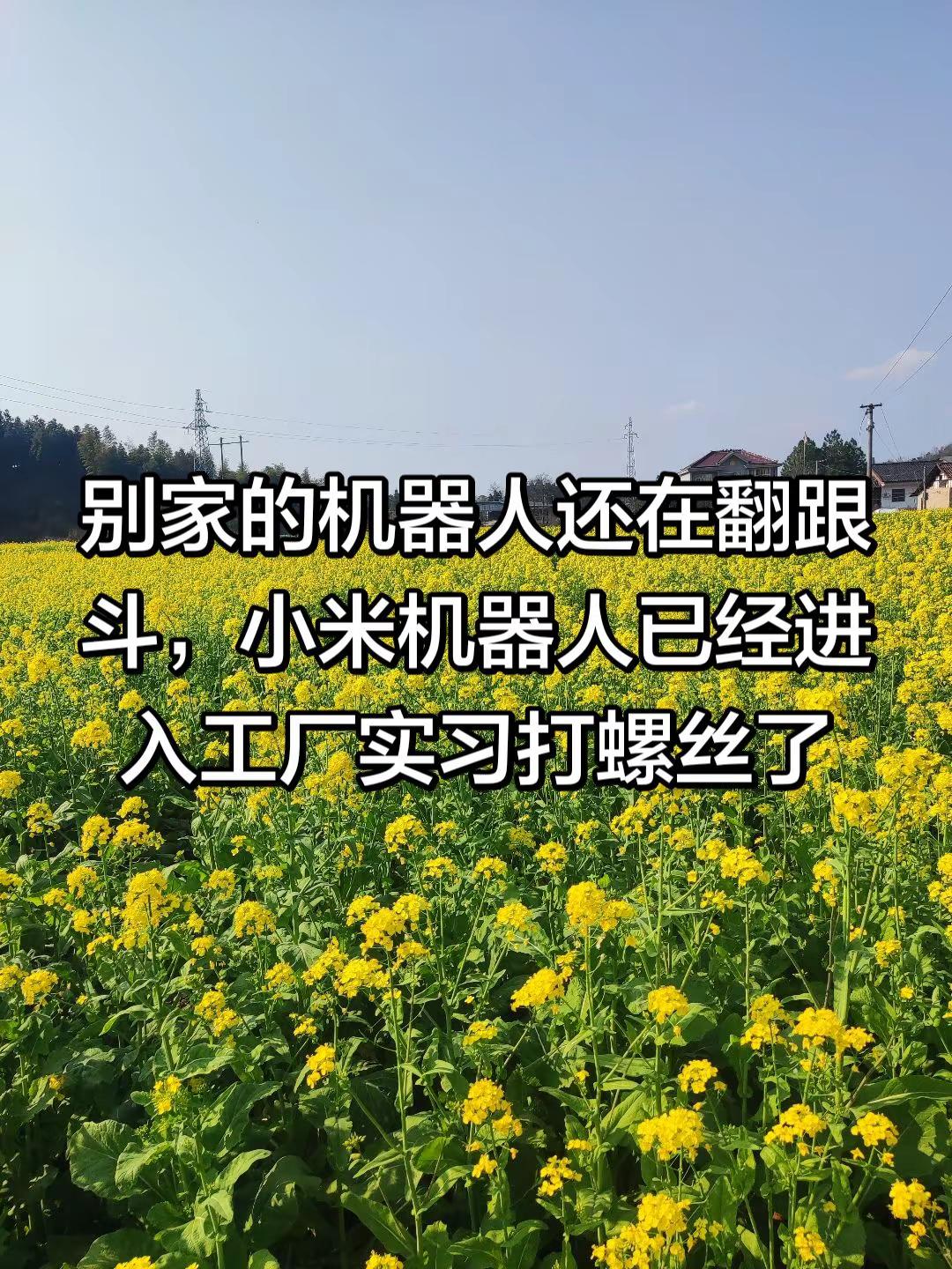 别家的机器人还在翻跟斗。别家的机器人还在翻跟斗，小米机器人已经进入工厂...