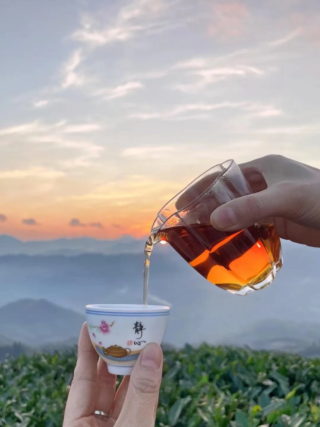 🌈茶知识🌈早上适宜喝什么茶