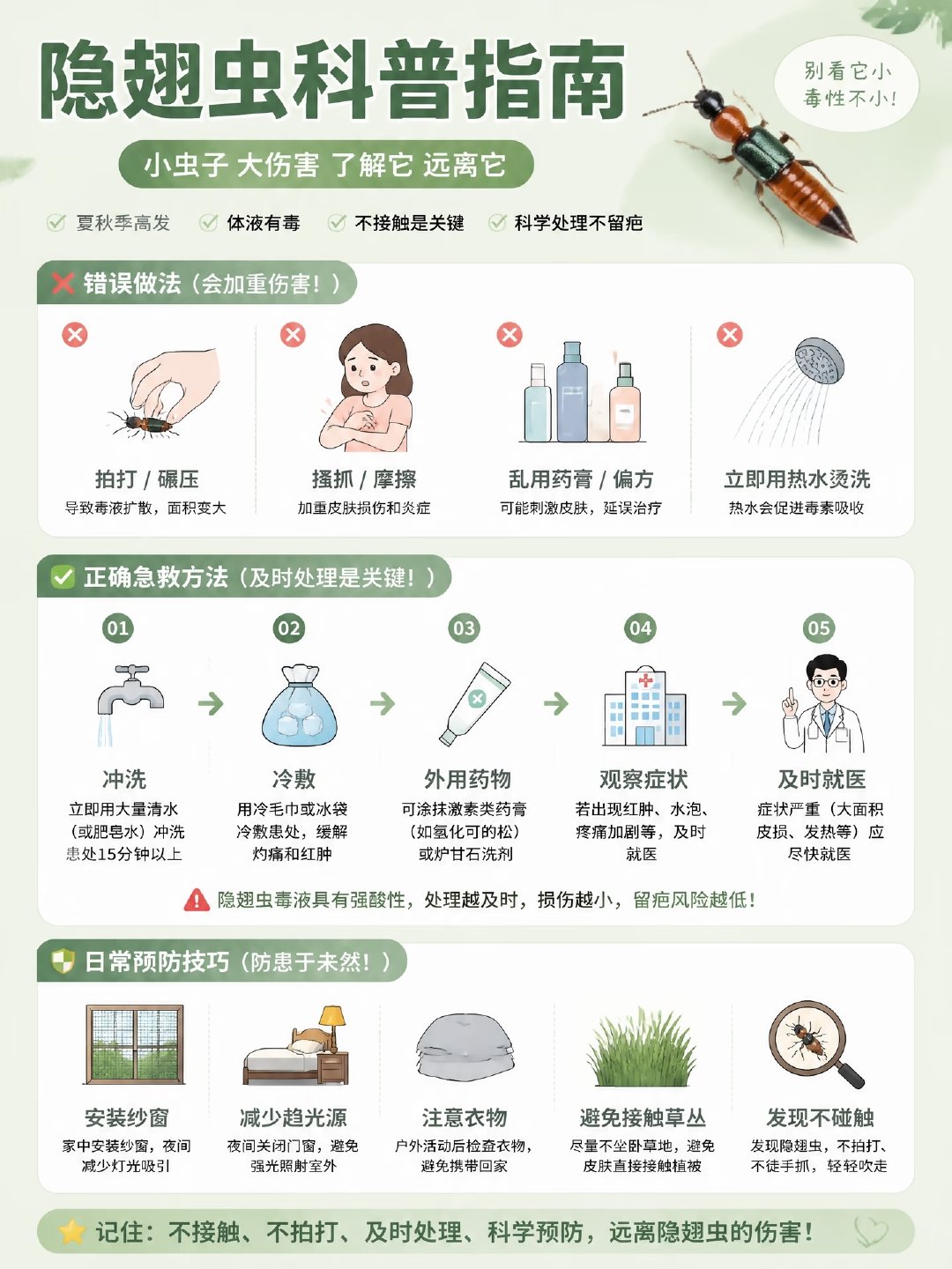 #隐翅虫灼伤网友抓狂#今年大家都被这个虫子伤了吗？特别疼啊，第一次认识这个毒物，太可怕了！为什么今年特别多啊？ ​