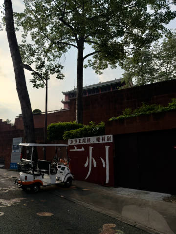 越秀公园。9乌鸫。