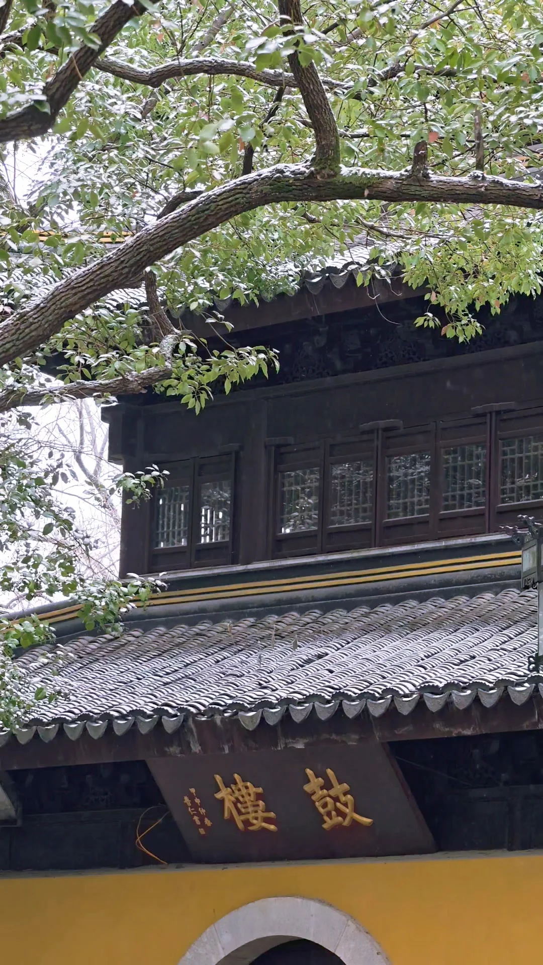 live图的意义❄在西园寺遇见姑苏雪景