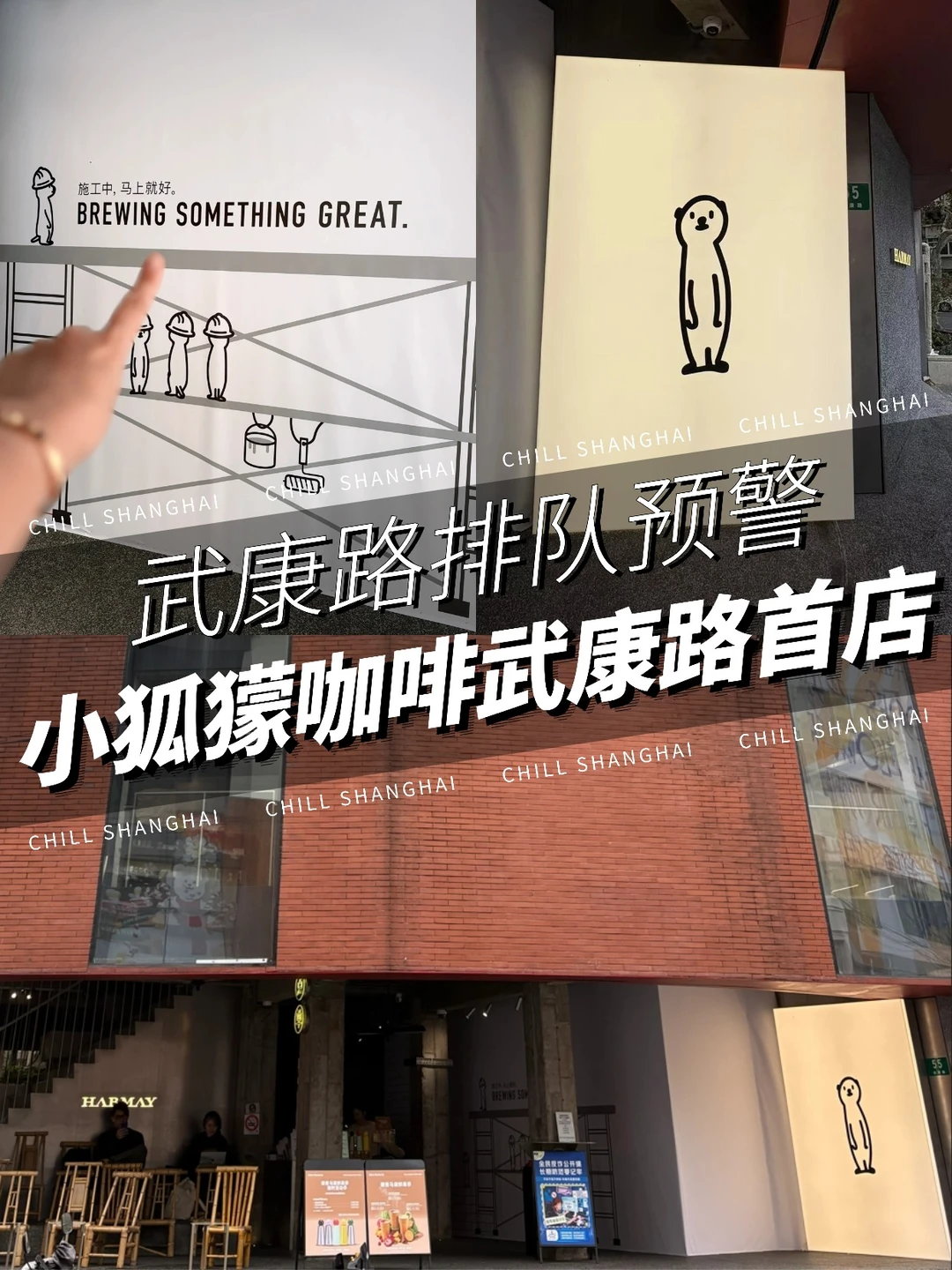 上海终于❗️小狐獴咖啡武康路首店见真·狐獴