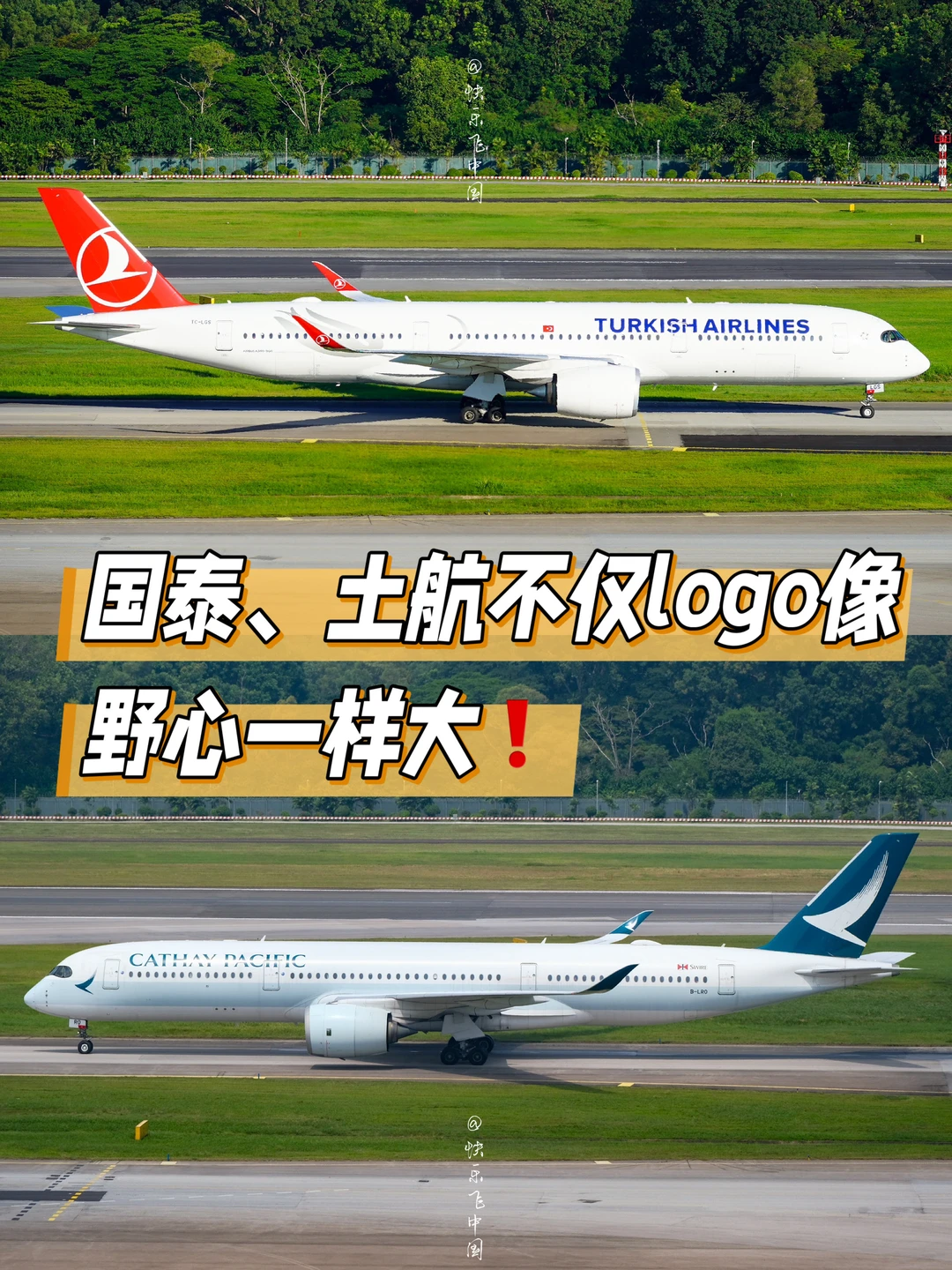 国泰、土航不仅logo像，野心一样大❗️