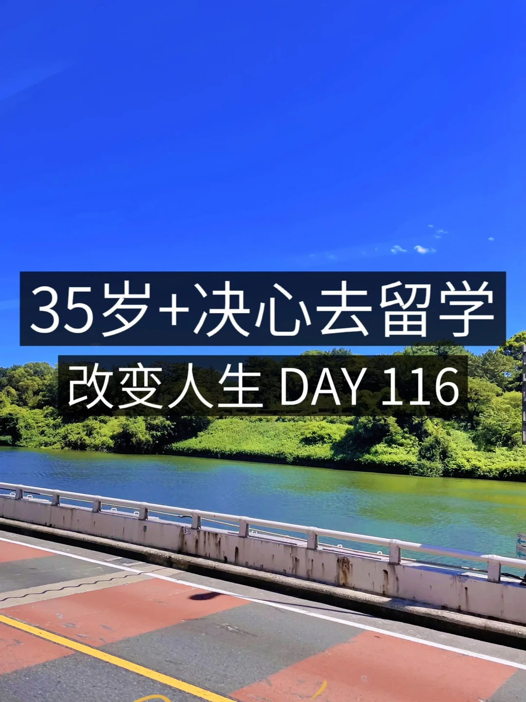 35岁+女青年留学✈️亲友突然裸辞了😱