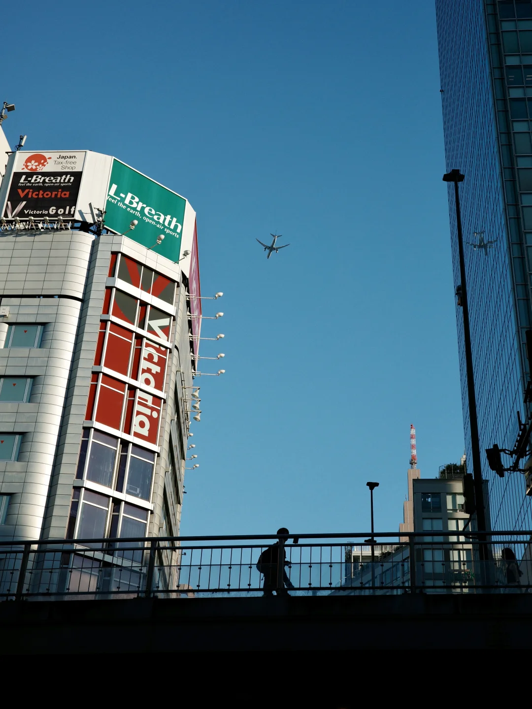 在街头拍照的这一年