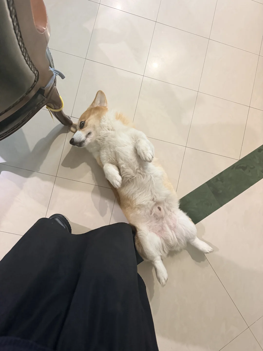 把最脆弱的地方露出来了
