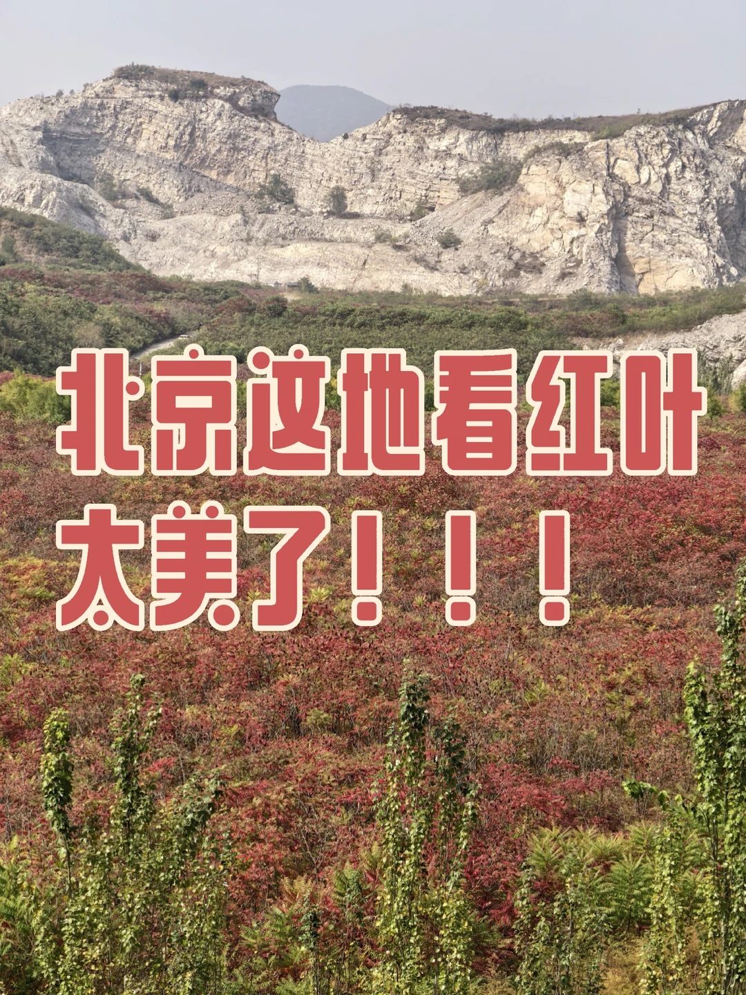 北京这地看红叶太爽了，大家搜：蒋福山红叶谷。 ​​​
	
#红叶