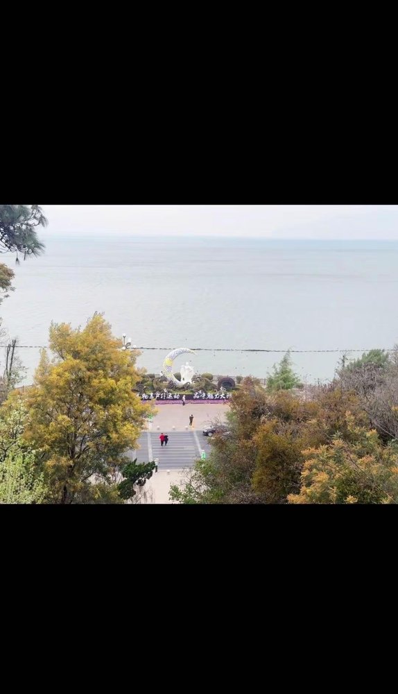 昨晚泰州体育公园，十打十一，愣是扛到83分钟才被捅穿。0比1，主场丢了先手。可散场时那几万人没一个骂街的，鼓点敲得比开场还凶。苏超半决赛首回合，泰州少一人硬扛无锡，最后被张源书一脚绝杀。看台上老少爷们嗓子全劈了，红着眼喊“还有90分钟”。上轮点球送走南通，这轮又把自己逼到悬崖边。10月24号江阴客场